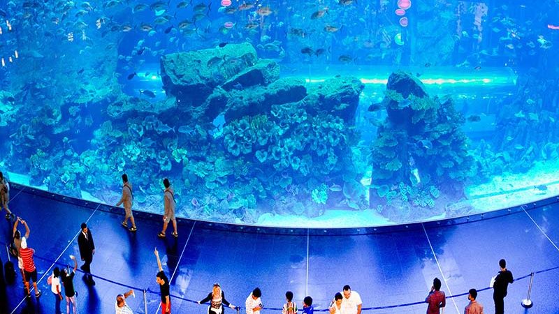 dubai-mall-aquarim-view