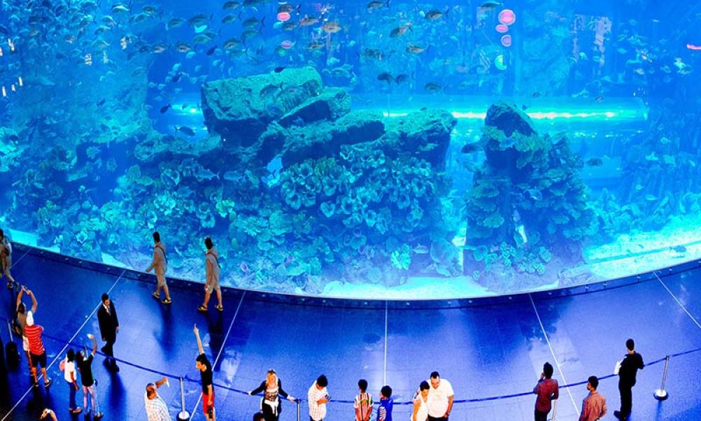 dubai-mall-aquarim-view